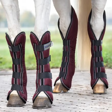 Transportlaarzen voor paarden Kavalkade (x4)