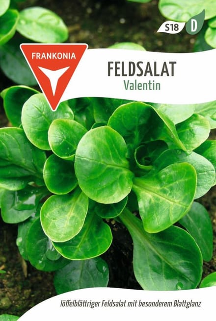 Veldsla, Valentin - Groentezaden, slazaden, zaden