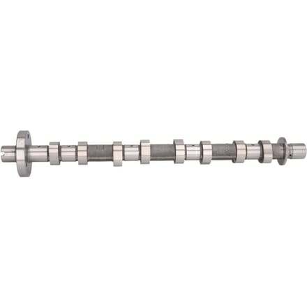 Nokkenas  AMC 647199