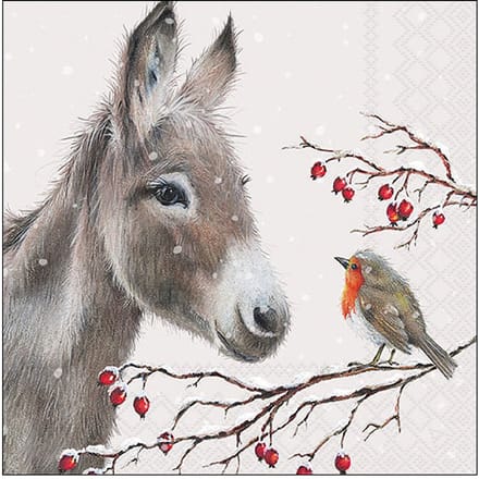 Servet "Donkey And Robin"