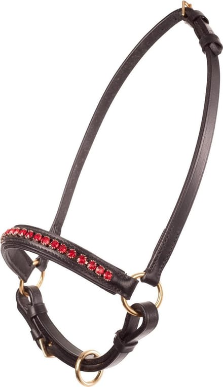 MHS Showhalster Mon Cherie Zwart/Rood mini (mt 3)