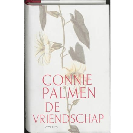 De Vriendschap - Connie Palmen
