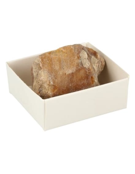 Doosje Versteend hout
