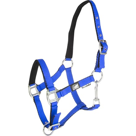 Halsband voor veulen met dubbele afstelling Supreme