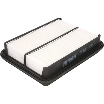 Luchtfilter FILTRON AP125