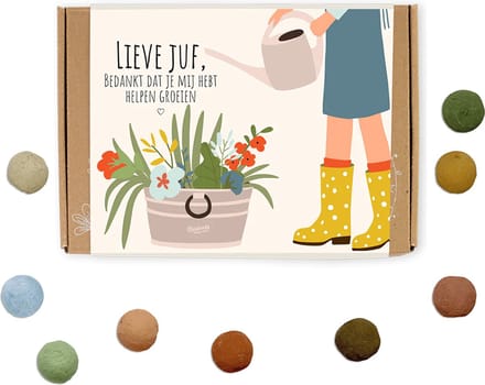 Blossombs Bloembommetjes Giftbox Small - 7 Zaadbommetjes - Lieve Juf - Cadeau
