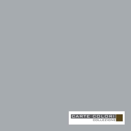 Carte Colori Kalkverf Alu Grigio CC025 5 Liter