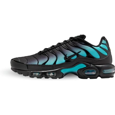 Nike Air Max Plus Black Dusty Cactus