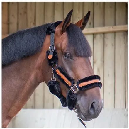 Halster voor paarden Pénélope Soft