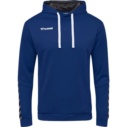 Capuchon sweaters hummel Sweat à capuche Authentic Poly