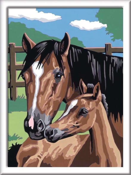 Schilderen op Nummer met Paarden Motief en Stickerbogen