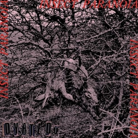 Dyatlov - Insect Paranoia
