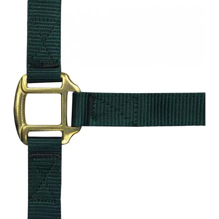 Halster voor paarden Norton Doublé cuir