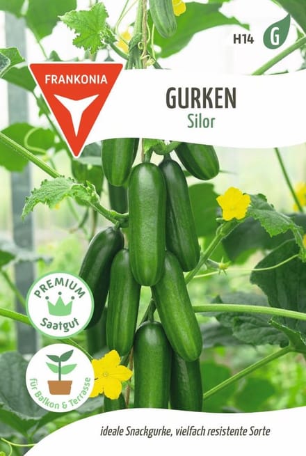 Komkommer, Silor F1 - Groentezaden Komkommerzaden Zaden