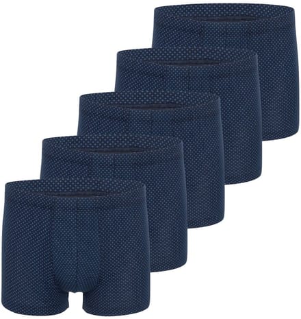 Schiesser Heren retro short / pant 5 pack Cotton Casual Cotton