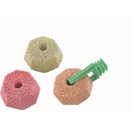 Puimstenen met bevestiging Nobby Pet