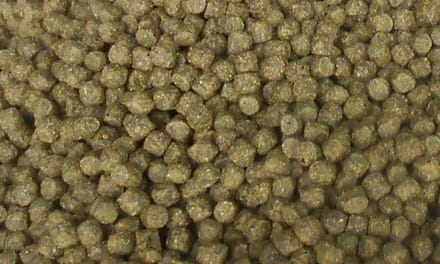 spirulina koi voer 6mm. 12kg.