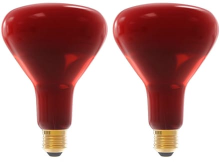 Technik E27 Infraroodlamp Dimbaar 250W - Volledig Infrarood Lamp R125 - 2 stuks