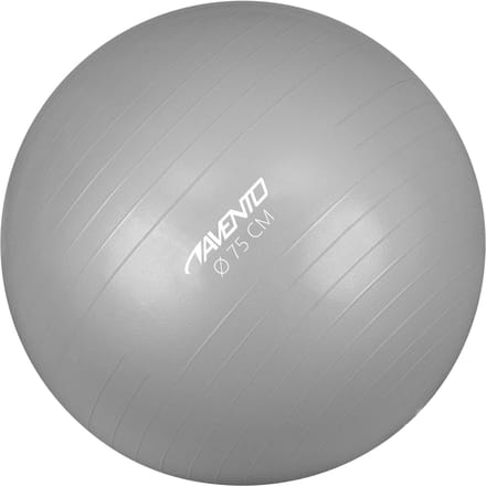 Avento Fitnessbal -Gymbal - Ø 75 cm - Zilver