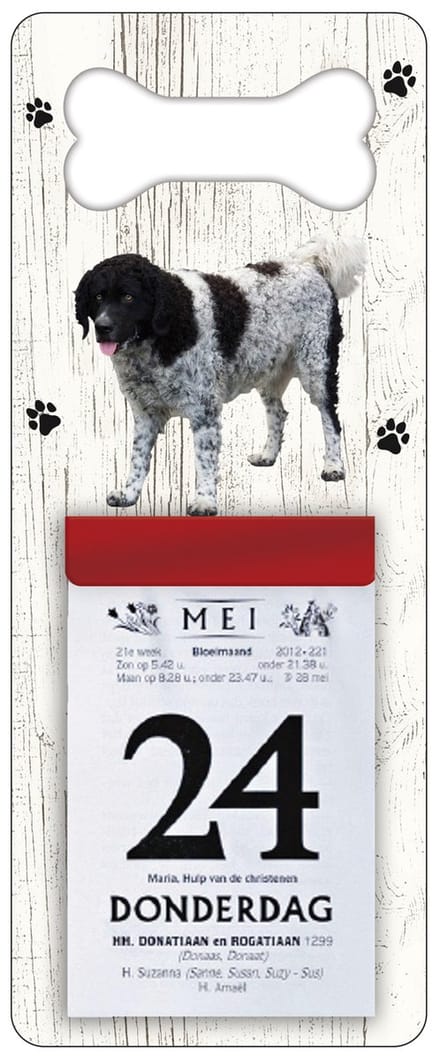 Scheurkalender 2027 Hond: Wetterhoun