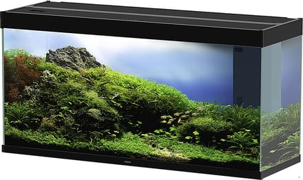 Ciano Emotions PRO 120 Set Aquarium - 40x121x60 cm - 233L - Zwart