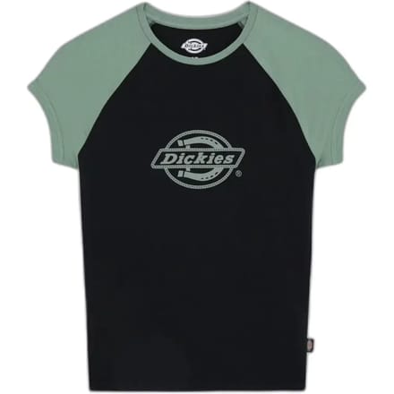 Dickies Forth Shaw Raglan T-shirt Met Korte Mouwen Zwart XS Vrouw