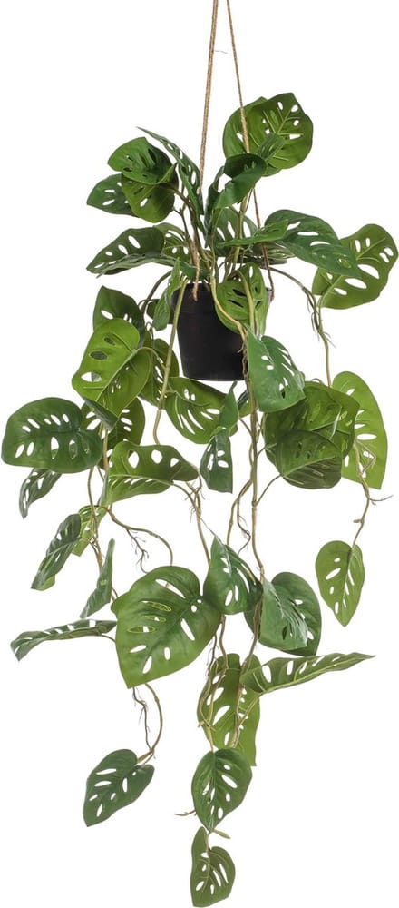Emerald - Kunst Hangplant in pot Monstera Monkey 80cm - Kunstplant voor binnen