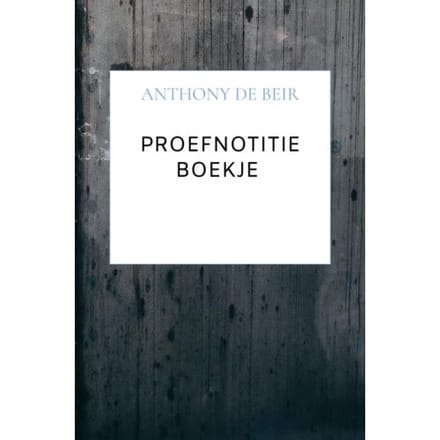 Proefnotitie Boekje - Anthony De Beir