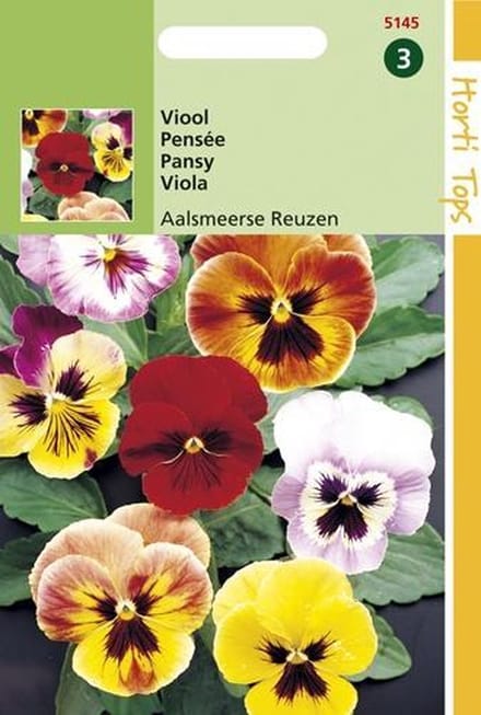 2 stuks Hortitops Viola Tric. Max. Aalsmeerse Reuzen K.S.