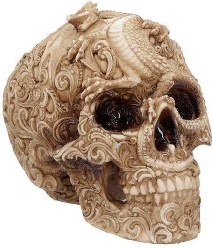 Nemesis Now Beeld Cranial Drakos Schedel Multicolours