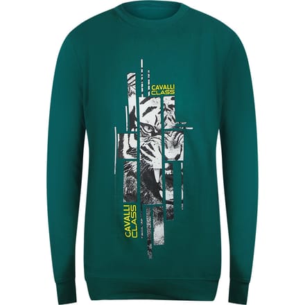 Cavalli Class Splintered Tiger Grafisch Groen Ottanio Sweatshirt