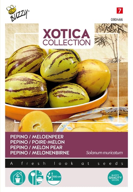 Xotica Pepino