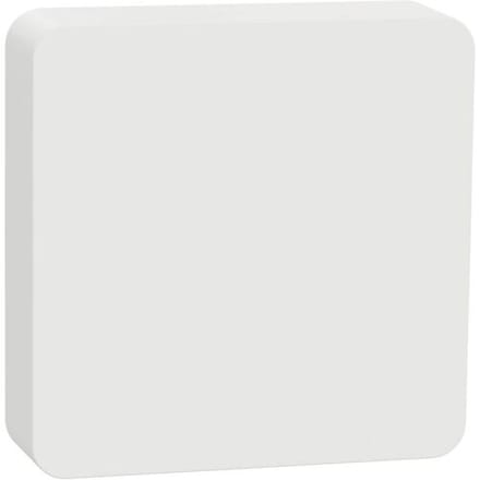 Schneider Electric Wiser CCT593012 Temperatuursensor, Luchtvochtigheidssensor