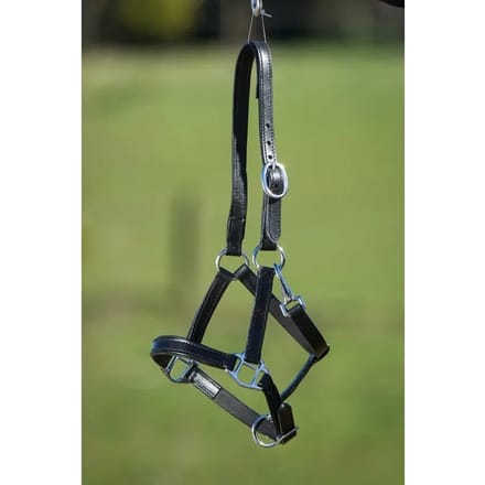 Gevoerd lederen halster voor paarden HFI