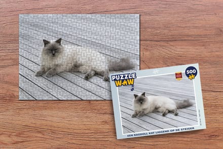 Puzzel Een Ragdoll kat liggend op de steiger - Legpuzzel - Puzzel 500 stukjes