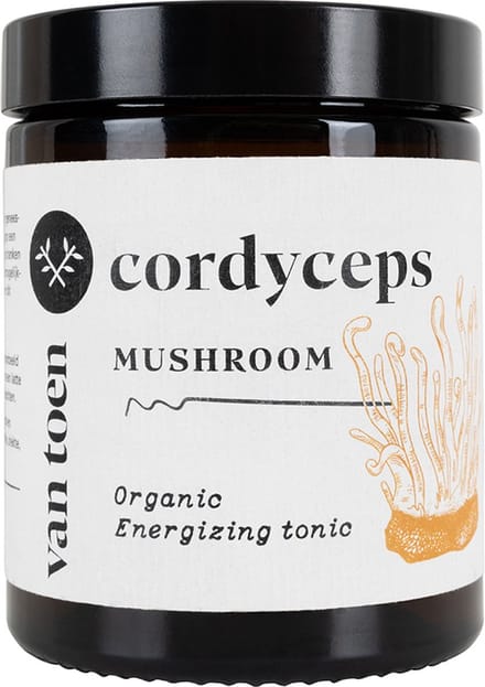 Cordyceps poeder biologisch | 80g - Van Toen
