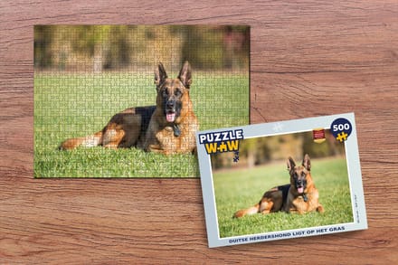 Puzzel Duitse herdershond ligt op het gras - Legpuzzel - Puzzel 500 stukjes