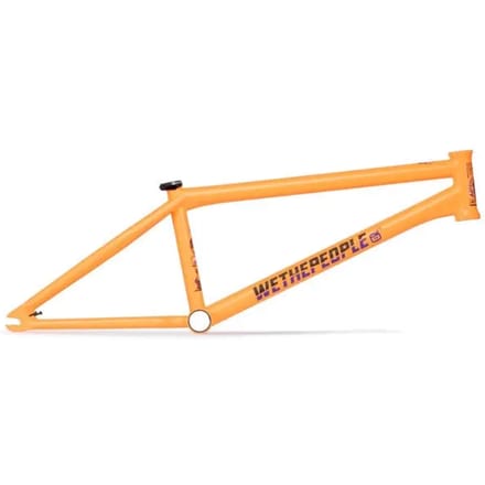 Frame Wethepeople Doomsayer J. Godwin Sig.