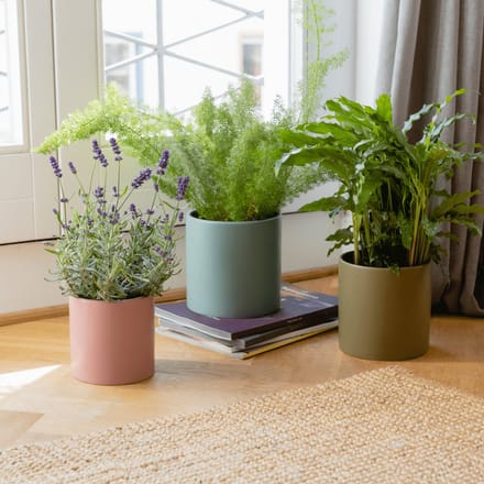 Remember Plant pots set 3 pcs - Turin