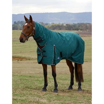 Outdoor paardendeken Weatherbeeta Comfitec Classic 360g