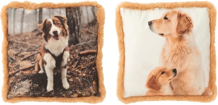J-Line kussen Hond - polyresin - bruin/beige - small - 2 stuks