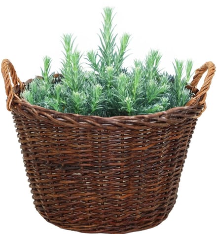 Mega Collections plantenmand Santa Fe - D35 x H24 cm - incl handgreep - rotan