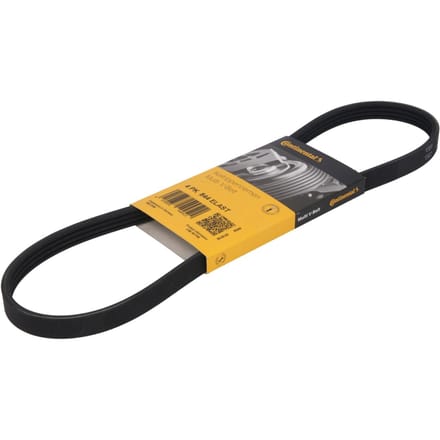 Continental Ctam V-riem CONTINENTAL 4PK844 ELAST