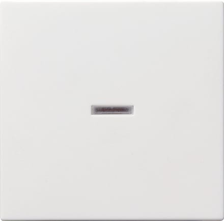 Gira Systeem 55 Besturingselement/Centrale plaat Schakelmateriaal - 029003 - E2FUK