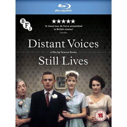 Distant Voices, Still Lives