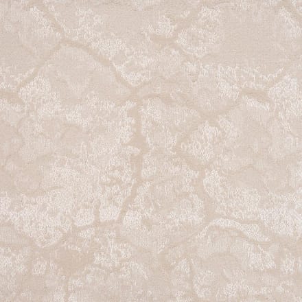 Vloerkleed Xilento Discovery Beige | 200 x 300 cm