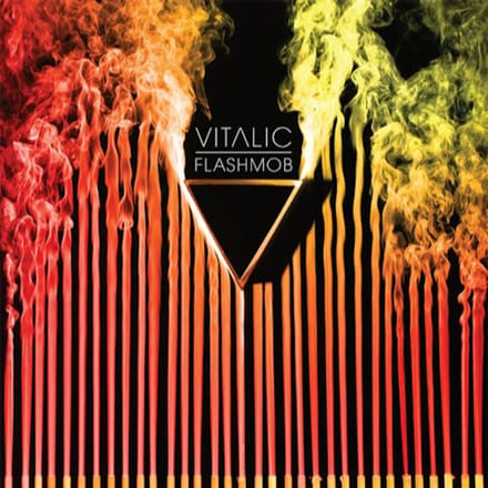 Flashmob - Vitalic