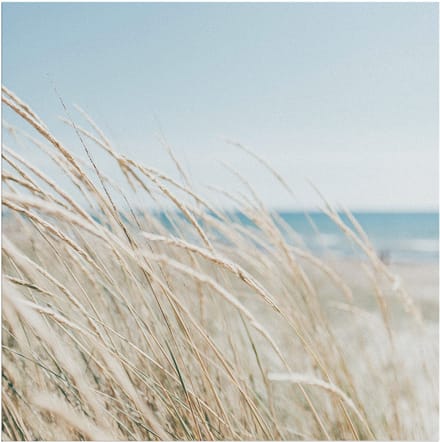 Art for the Home Buitencanvas Strand