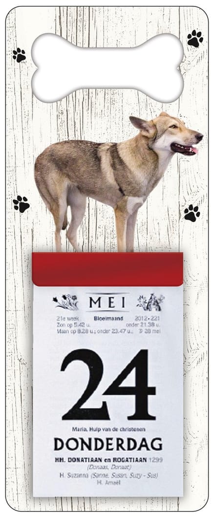 Scheurkalender 2027 Hond: Saarloos Wolfhond