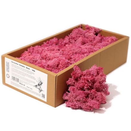 Rendiermos - Pink - 635g Box